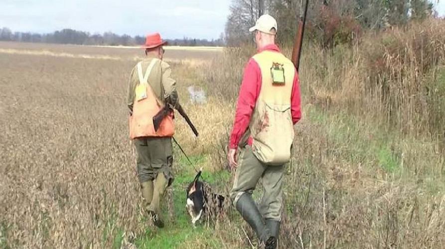 Anticipata al 1° settembre la caccia al cinghiale in 14 aree del Piemonte
 – www.regione.piemonte.it