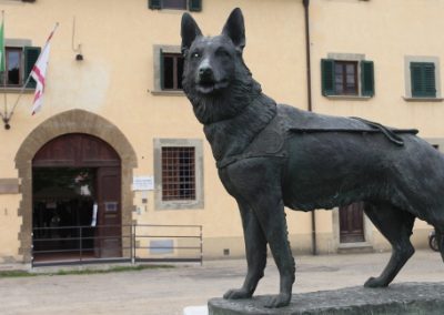 Amici a quattro zampe per bambini diabetici, il 21 dicembre incontro tra cuccioli e famiglie
– www.toscana-notizie.it