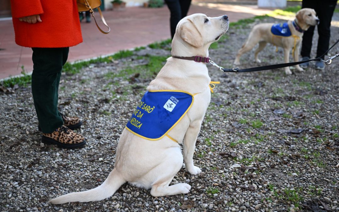 Diabete, a Scandicci cinque cani che ‘fiutano’ crisi glicemiche conoscono le future famiglie 
						 – www.toscana-notizie.it