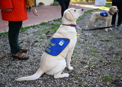 Diabete, a Scandicci cinque cani che ‘fiutano’ crisi glicemiche conoscono le future famiglie
– www.toscana-notizie.it