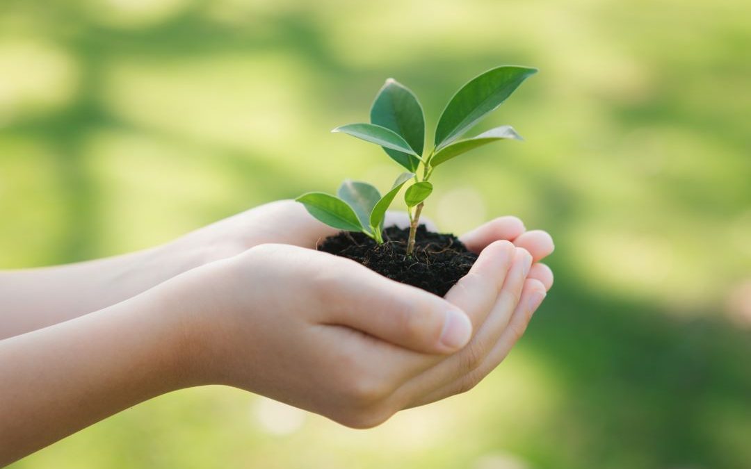 90.000 euro a 20 progetti  – www.lombardianotizie.online