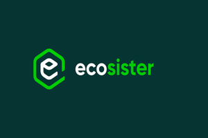 Open innovation: webinar sui programmi sostenuti da Ecosister – imprese.regione.emilia-romagna.it