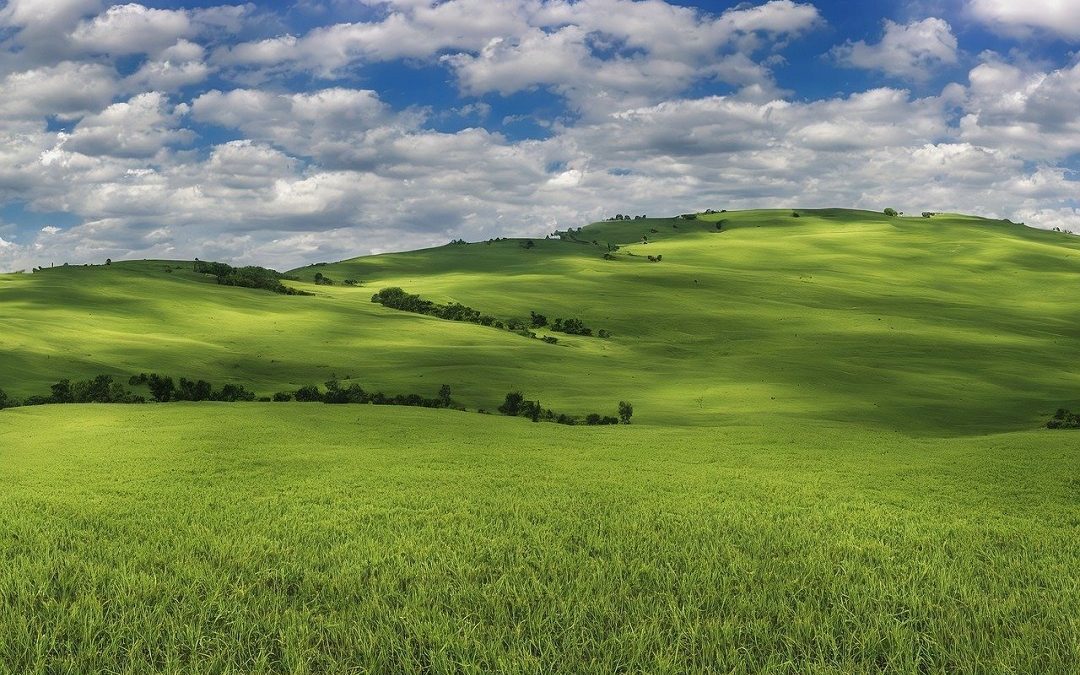 Ambiente, un patto per sviluppo sostenibile di Lombardia orientale – www.lombardianotizie.online