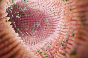 Oncoematologia pediatrica, primo trapianto di microbiota pediatrico eseguito “in trasferta” su un bimbo che non poteva essere trasportato – salute.regione.emilia-romagna.it