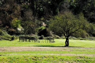 Consiglio Regionale del Lazio – Commissioni – VIII Commissione – Agricoltura, ambiente – Notizie – www.consiglio.regione.lazio.it