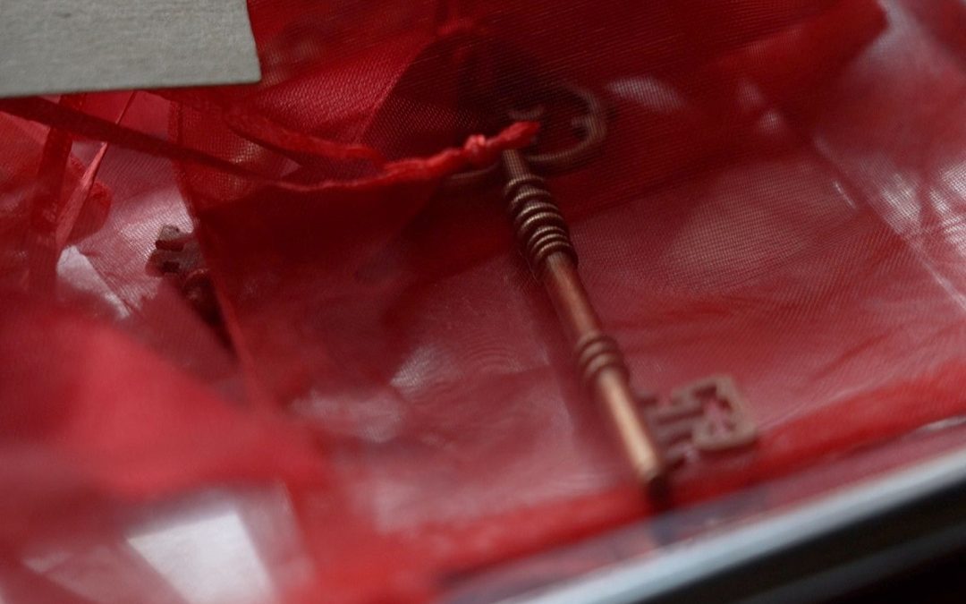 nuove case per donne vittime di violenza – www.lombardianotizie.online