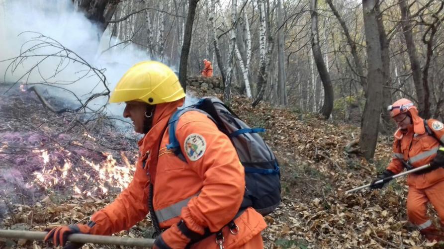 5 milioni per prevenire gli incendi dei boschi
 – www.regione.piemonte.it
