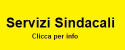 link Servizi Sindacali