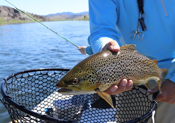 Pesca professionale e sportiva alla trota, la stagione in Umbria aprirà ufficialmente domenica 23 febbraio – www.regione.umbria.it