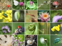 La principale normativa regionale sulla biodiversità – www.regione.toscana.it