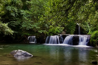 Consiglio Regionale del Lazio – Commissioni – VIII Commissione – Agricoltura, ambiente – Notizie – www.consiglio.regione.lazio.it