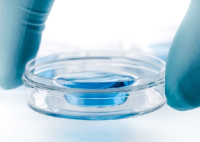 Procreazione medicalmente assistita, Relazione al Parlamento 2024 – www.salute.gov.it