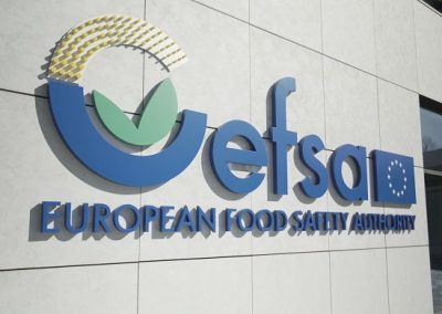 Bando 2025-2027 per esperti nazionali distaccati presso l’EFSA (END) – www.salute.gov.it