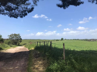 Consiglio Regionale del Lazio – Commissioni – VIII Commissione – Agricoltura, ambiente – Notizie – www.consiglio.regione.lazio.it