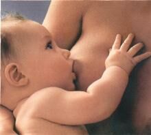 Latte materno nei nidi d’infanzia, ecco come fare
– www.toscana-notizie.it