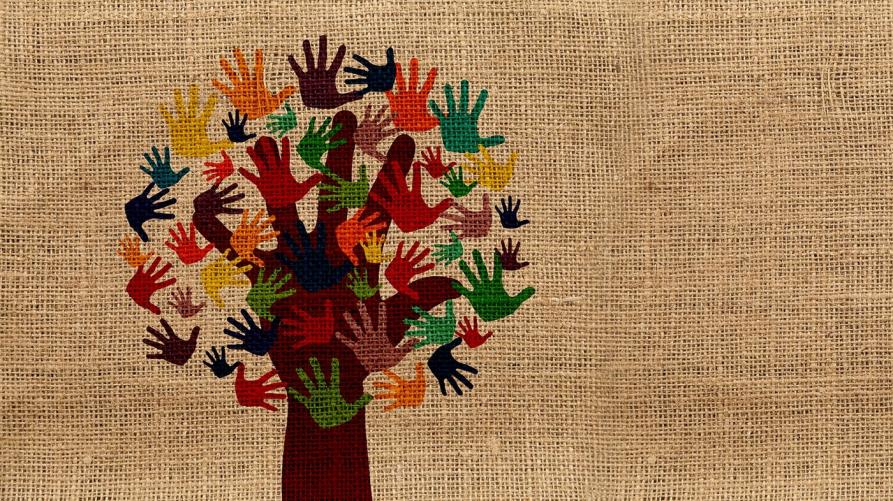 I primi sei mesi dell’Accademia del Welfare
 – www.regione.piemonte.it