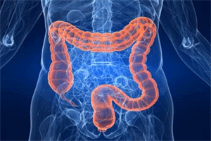 Tumore al colon retto, campagna straordinaria di screening in corso
– www.toscana-notizie.it