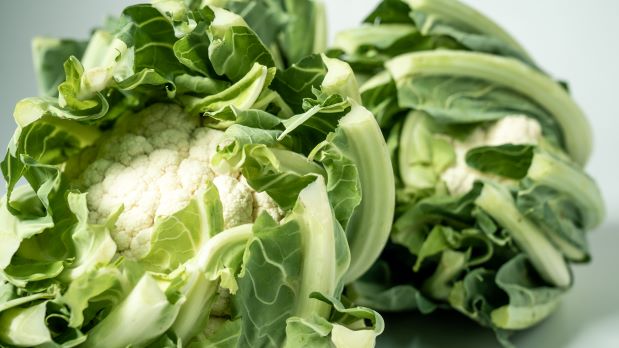 Riconosciuto il Consorzio di Tutela del Cavolfiore della Piana del Sele IGP – www.politicheagricole.it