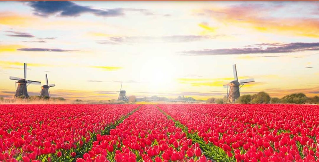 Torna Tulipark, il giardino olandese di Roma – VisitLazio – www.visitlazio.com