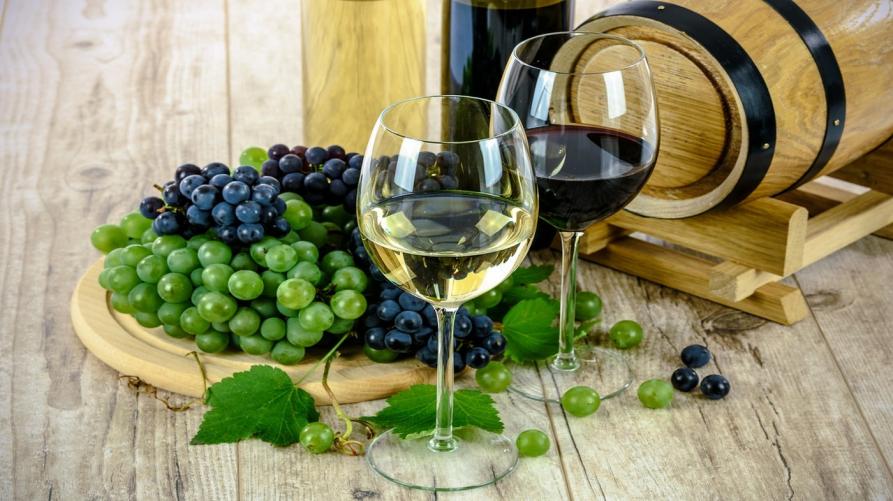 Risorse per scoprire i grandi vini piemontesi direttamente dai produttori
 – www.regione.piemonte.it