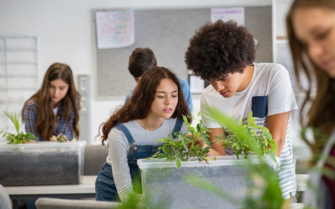 Educazione ambientale, Regione crea a Brescia rete di14 scuole – www.lombardianotizie.online