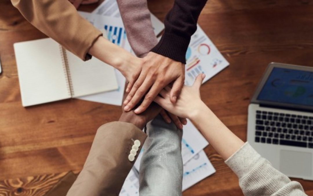 PNRR Academy: proroga scadenza indagine RUP 2025 – www.mit.gov.it