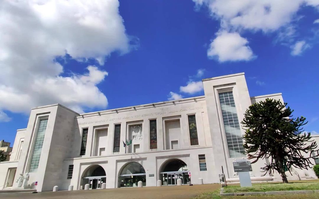 Classifica Newsweek, premiati gli ospedali lombardi – www.lombardianotizie.online