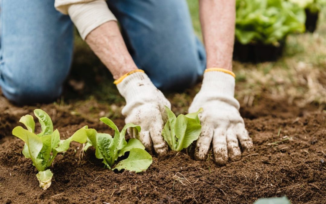 Progetti di Agricoltura sociale: approvati gli elenchi – www.lazioeuropa.it