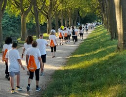 Oltre 250 Palestre che promuovono salute o attività motoria adattata e più di 260 gruppi di cammino – salute.regione.emilia-romagna.it