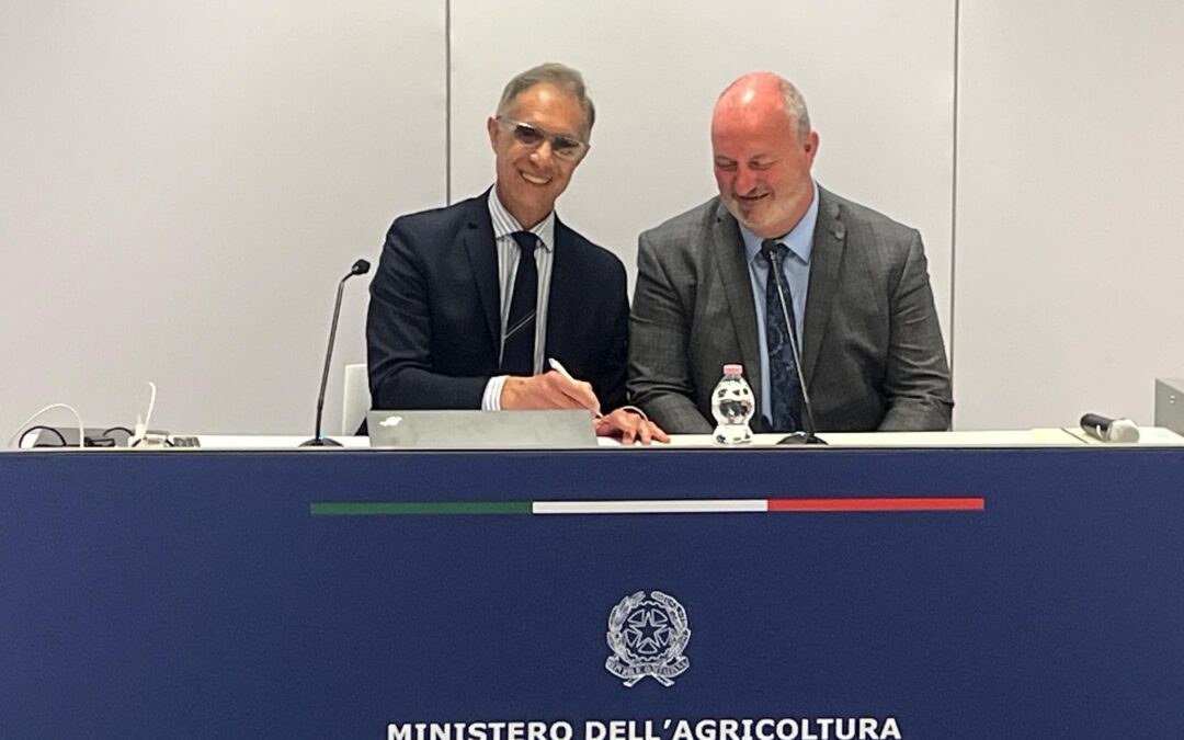 Sicurezza alimentare: accordo strategico tra ICQRF e Food Standards Agency del Regno Unito per il contrasto ai crimini agroalimentari – www.masaf.gov.it