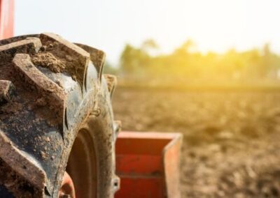 PIL, Lollobrigida: Orgoglioso che agricoltura traini economia – www.masaf.gov.it