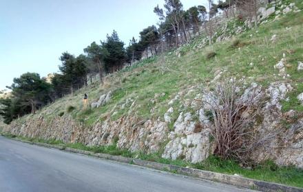 Montelepre, aggiudicati i lavori sulla Strada provinciale 1 per 1,1 milioni