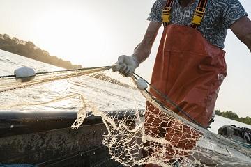 Fermo Pesca 2024: proroga dei termini per la presentazione delle istanze – www.lavoro.gov.it