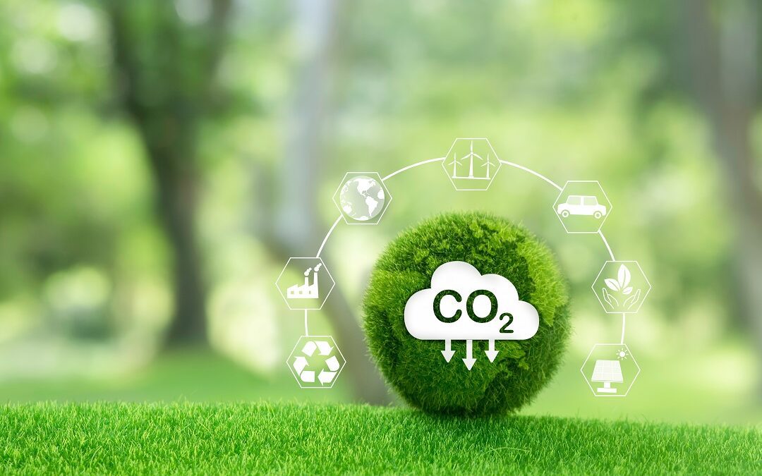 Ambiente, Lombardia partecipa a progetto europeo PLANtoACT – www.lombardianotizie.online