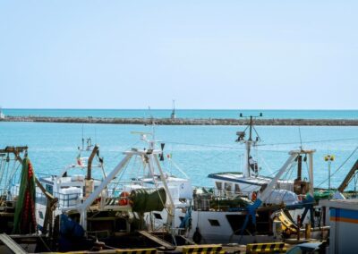 Al via due bandi per potenziare filiera ittica con 21 milioni di euro – www.masaf.gov.it