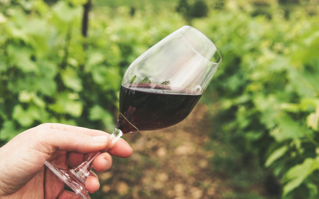 Promozione enogastronomica, due bandi per eventi e iniziative – www.lazioeuropa.it