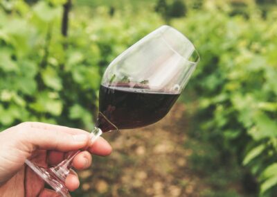 Promozione enogastronomica, due bandi per eventi e iniziative – www.lazioeuropa.it