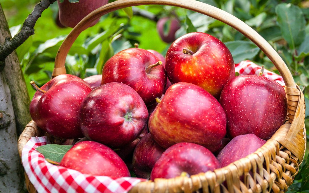 con produttori Valtellina per rilancio comparto – www.lombardianotizie.online