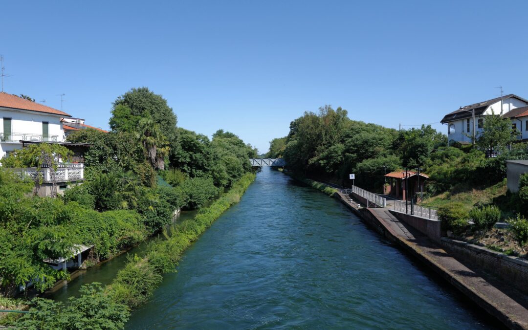 Parco del Ticino, Fontana: area protetta orgoglio della Lombardia – www.lombardianotizie.online