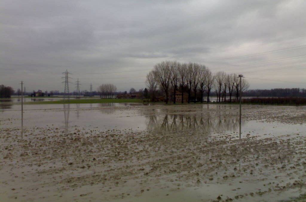 Alluvione marzo 2025, in arrivo bando da 2,4 milioni di euro per aiutare le imprese colpite
                         – www.toscana-notizie.it