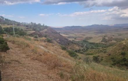 Morgantina, incendio domato dal Corpo forestale di Piazza Armerina