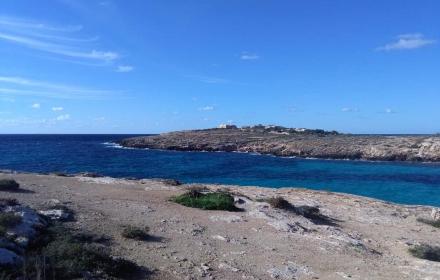 Ambiente, Savarino: «Record di nidi di tartaruga Caretta-caretta nelle nostre riserve»