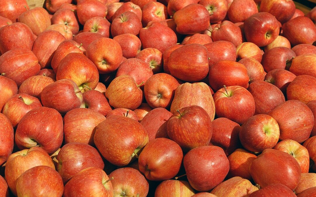 Melavì, Beduschi e Sertori incontrano aziende frutticole valtellinesi – www.lombardianotizie.online