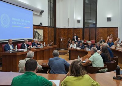 “Vigileremo insieme perché ci siano importanti prospettive di sviluppo” – www.mimit.gov.it