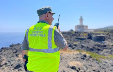 Roghi, Corpo Forestale ne registra 3757 dal 15 maggio: rafforzate azioni di prevenzione e controllo

   – www.regione.sicilia.it