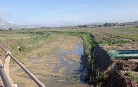 Crisi idrica, attivate procedure straordinarie per comparto agricolo e zootecnico