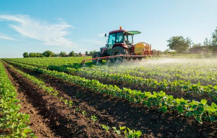 Aziende agricole, bando da 40 milioni per incentivare la diversificazione
