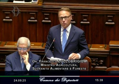 Question Time del Ministro Lollobrigida alla Camera – www.masaf.gov.it