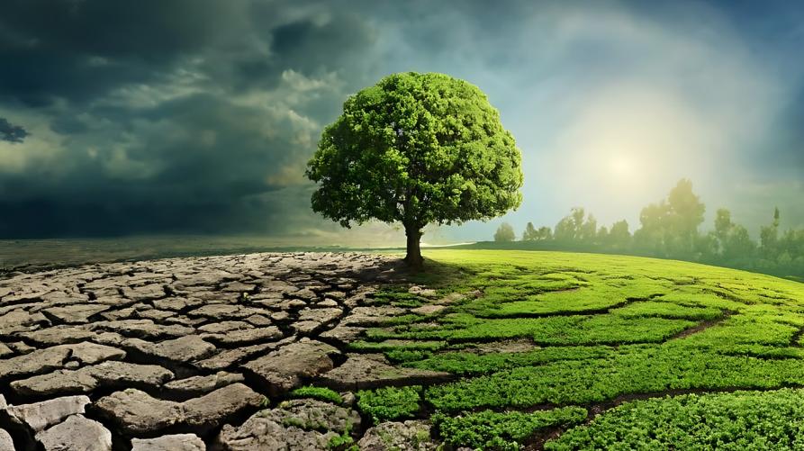 I compiti dell’Osservatorio sui cambiamenti climatici in Piemonte
 – www.regione.piemonte.it