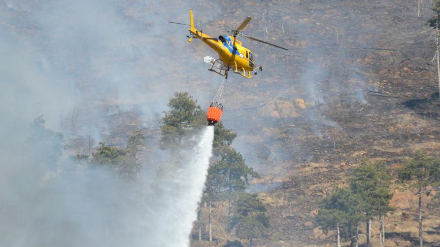 Incendi boschivi: le linee guida per i piani di prevenzione territoriali
 – www.regione.piemonte.it